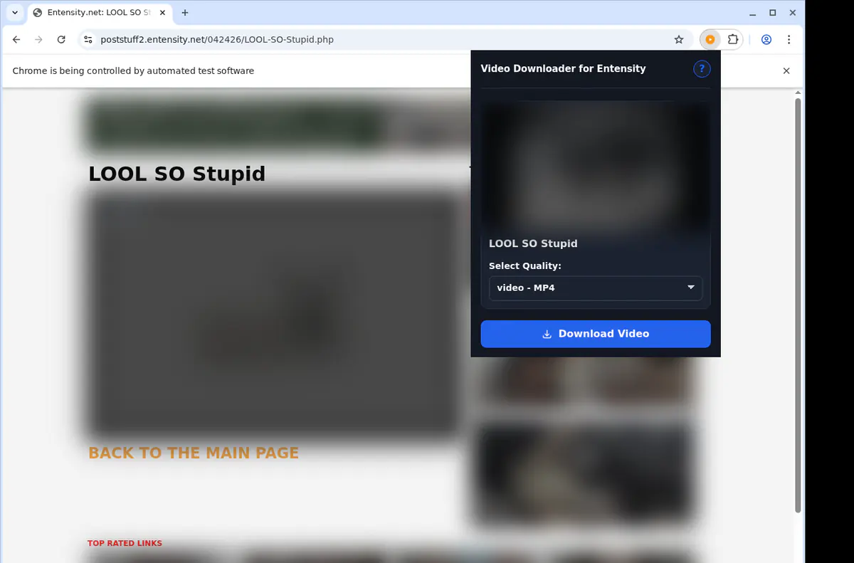 Entensity Video Downloader browser extension screenshot 3