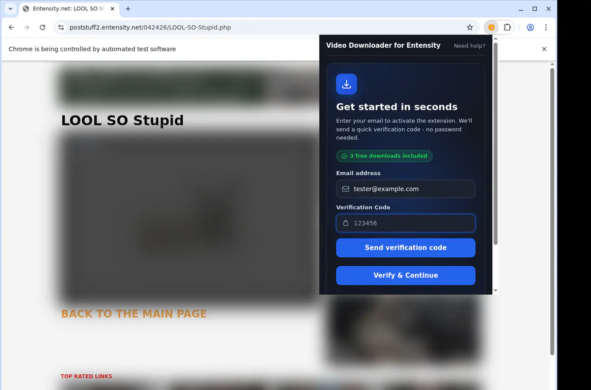Entensity Video Downloader browser extension screenshot 4